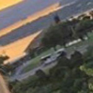 Meet your Posher, Pippin